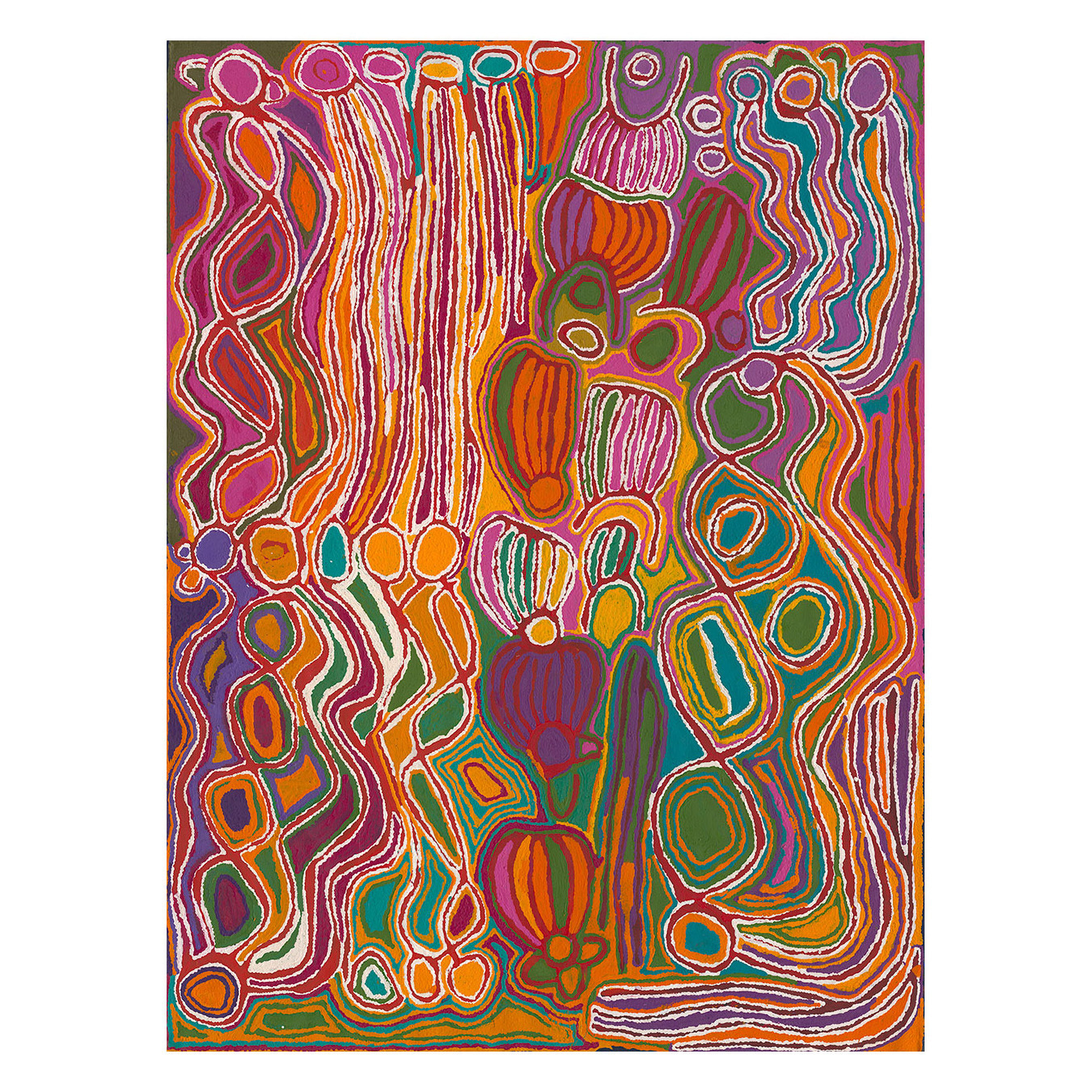 Mina Mina Jukurrpa VIII Pink Canvas Wall Art