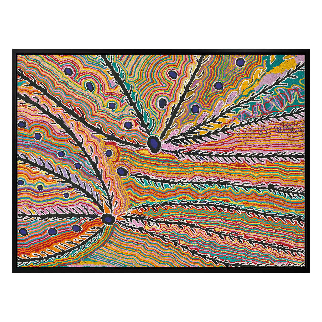 Wakirlpirri Jukurrpa Multicolour Canvas Wall Art