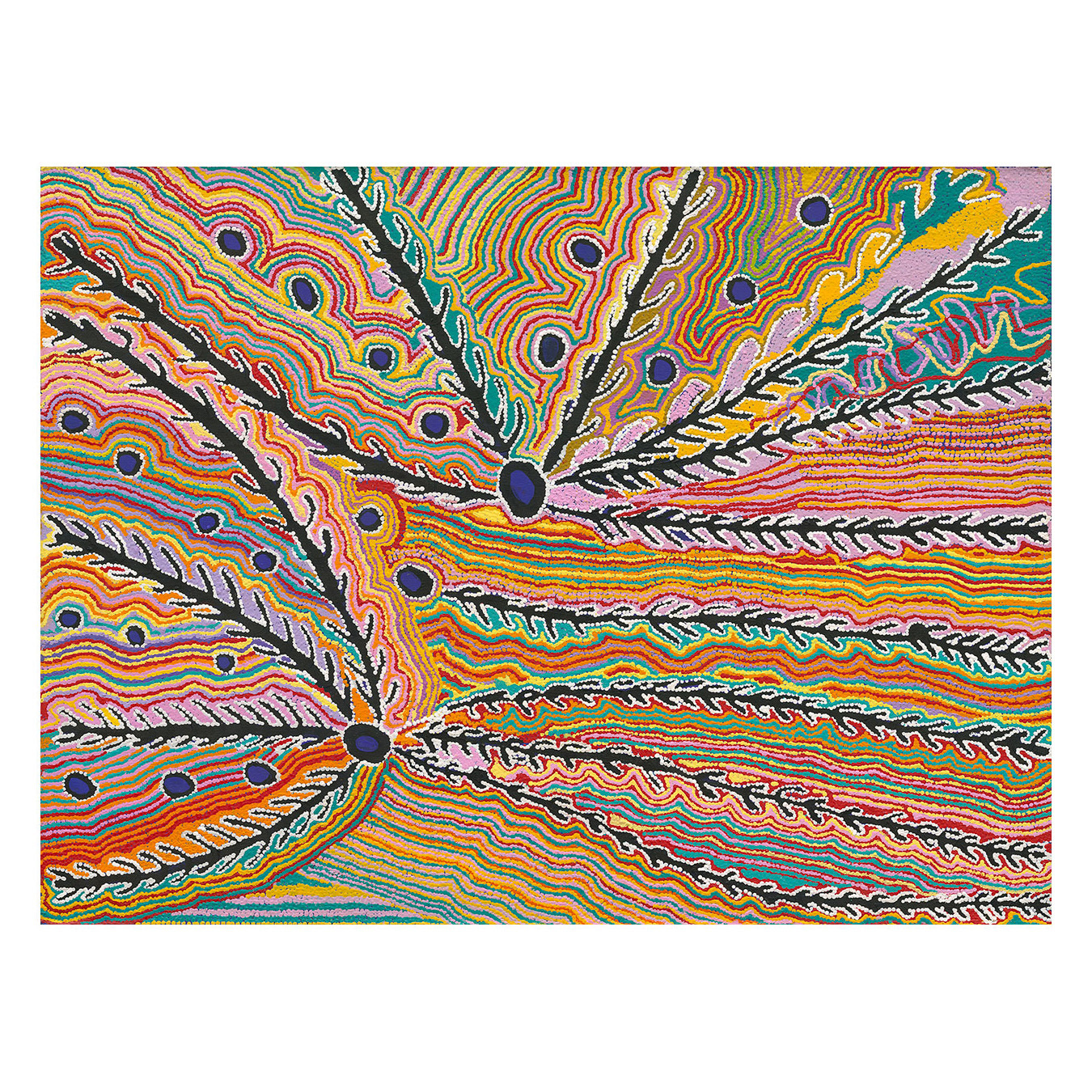 Wakirlpirri Jukurrpa Multicolour Canvas Wall Art
