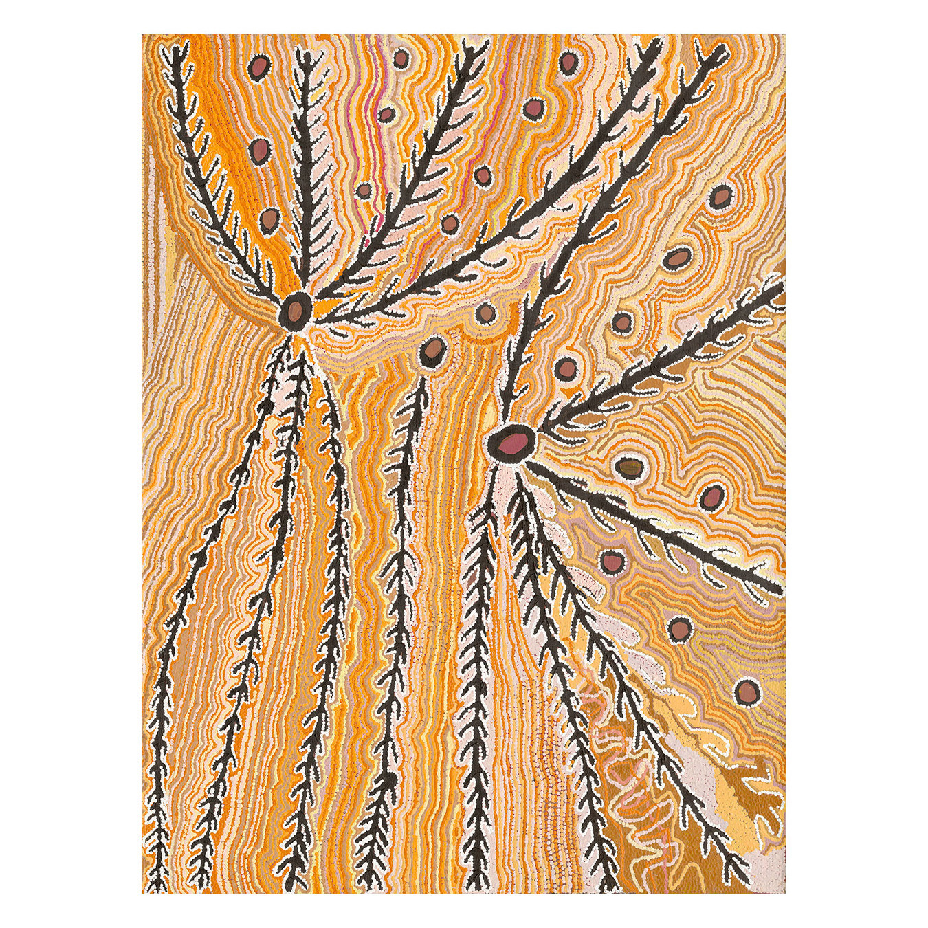 Wakirlpirri Jukurrpa Ochre Canvas Wall Art