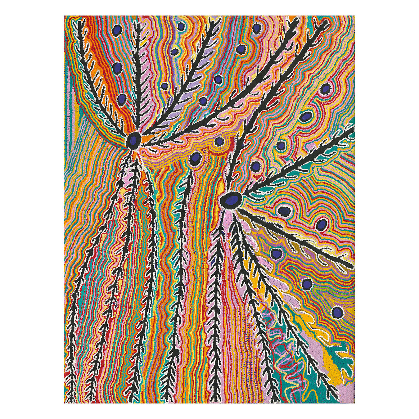 Wakirlpirri Jukurrpa Multicolour Canvas Wall Art