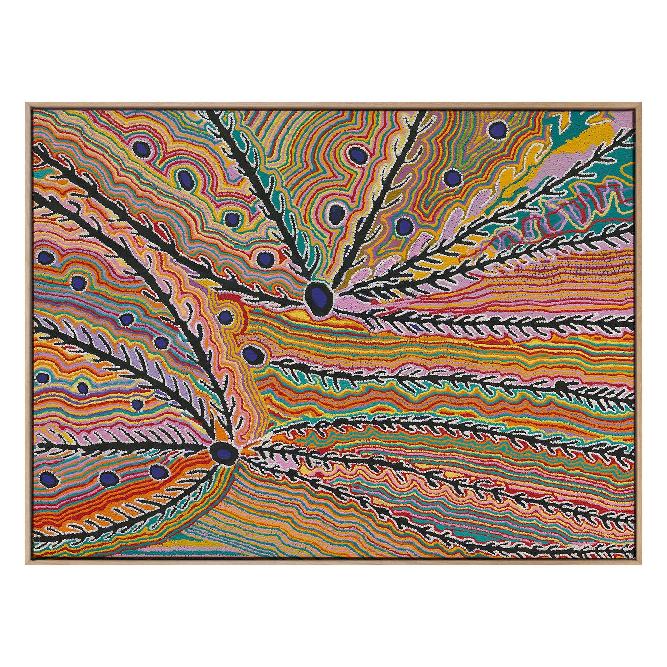 Wakirlpirri Jukurrpa Multicolour Canvas Wall Art