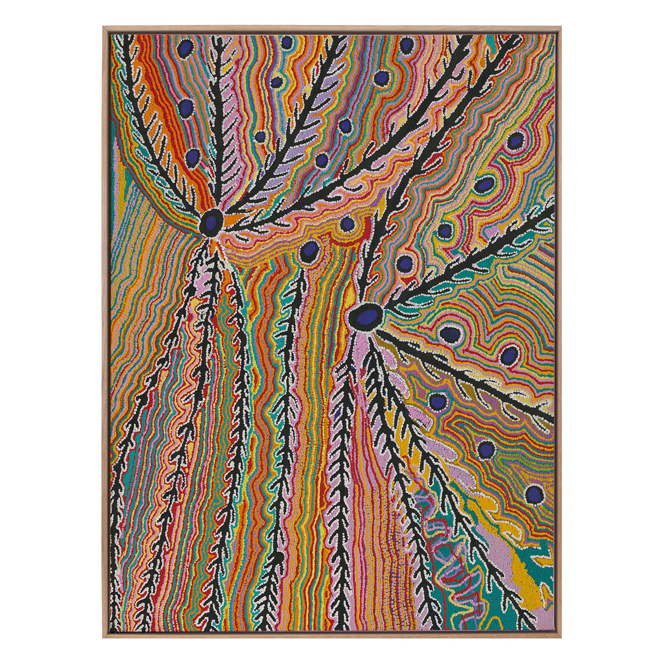 Wakirlpirri Jukurrpa Multicolour Canvas Wall Art