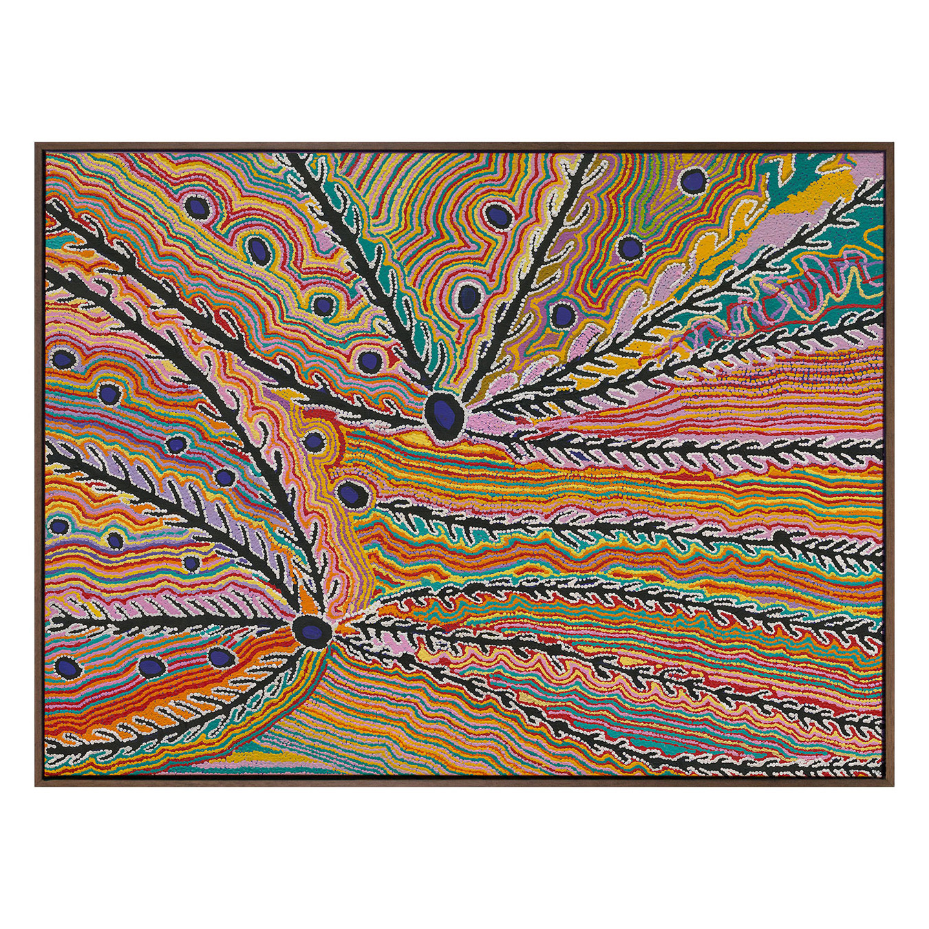 Wakirlpirri Jukurrpa Multicolour Canvas Wall Art