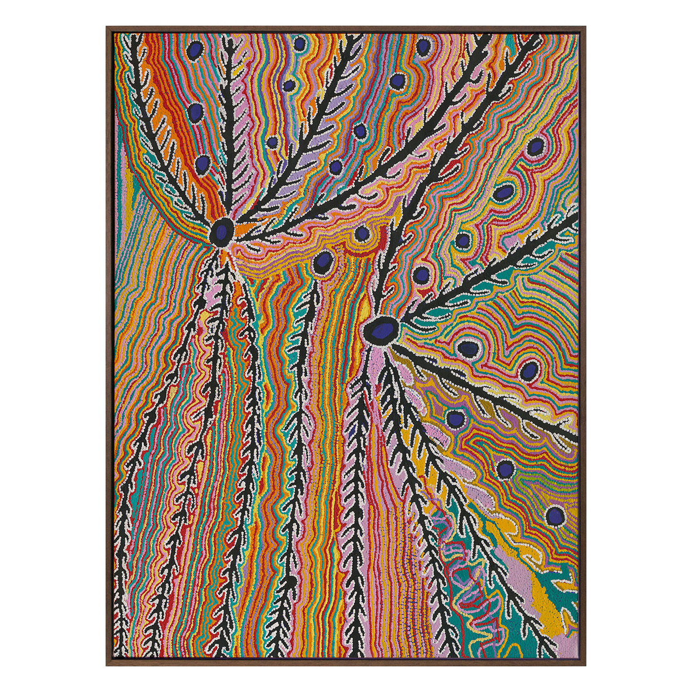 Wakirlpirri Jukurrpa Multicolour Canvas Wall Art