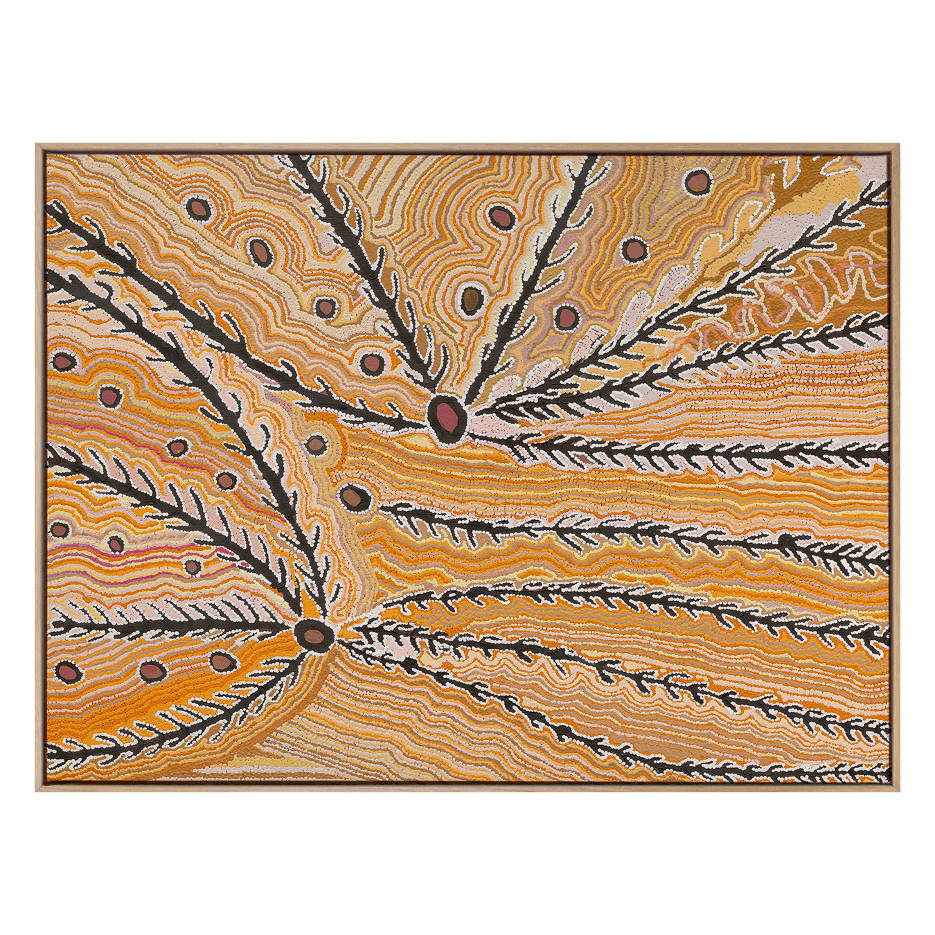 Wakirlpirri Jukurrpa Ochre Canvas Wall Art