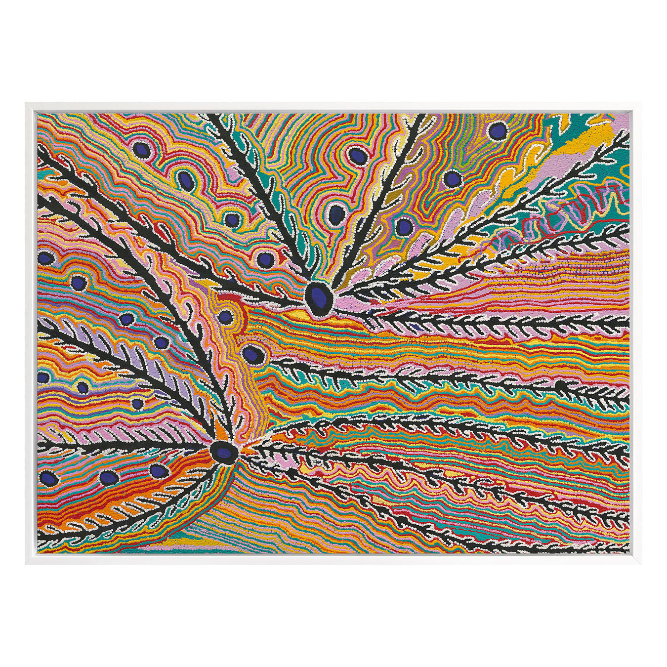 Wakirlpirri Jukurrpa Multicolour Canvas Wall Art