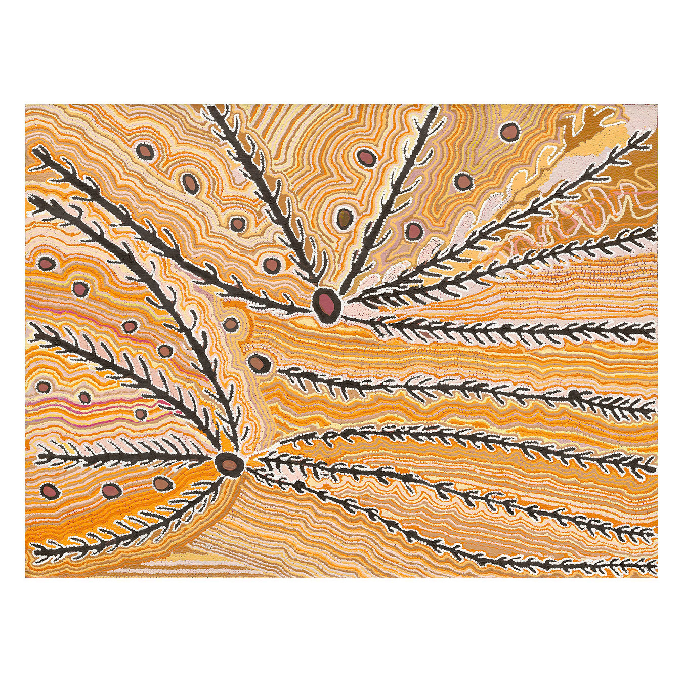 Wakirlpirri Jukurrpa Ochre Canvas Wall Art