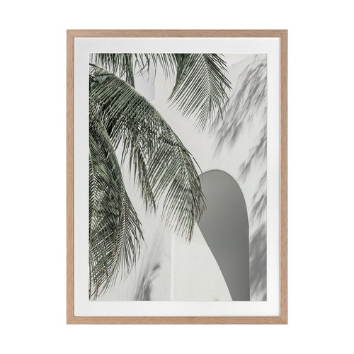 Palm Shadows Printed Wall Art