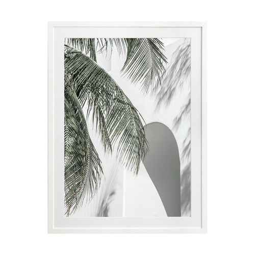 Palm Shadows Printed Wall Art