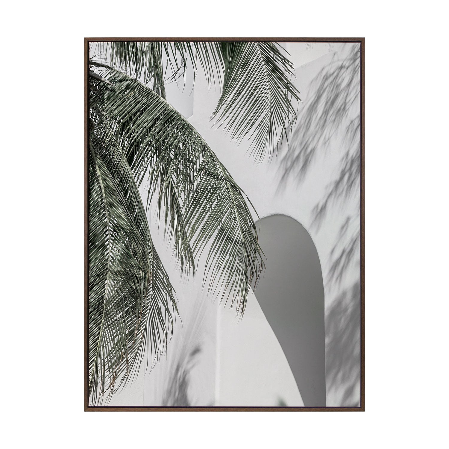 Palm Shadows Printed Wall Art