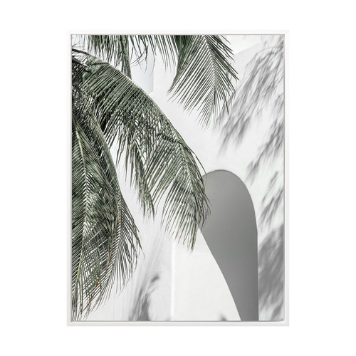 Palm Shadows Printed Wall Art