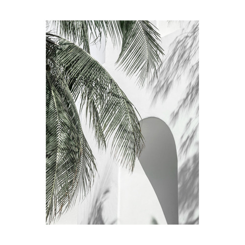 Palm Shadows Printed Wall Art