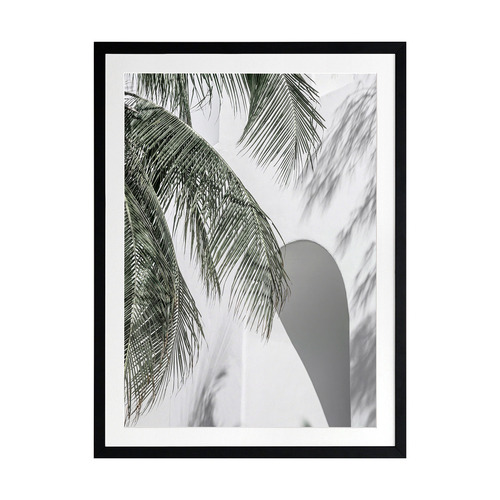 Palm Shadows Printed Wall Art