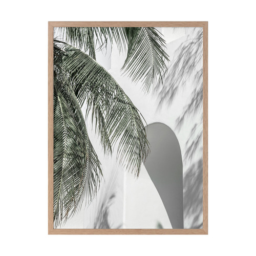 Palm Shadows Printed Wall Art