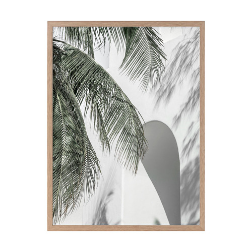 Palm Shadows Printed Wall Art