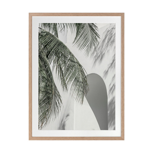 Palm Shadows Printed Wall Art