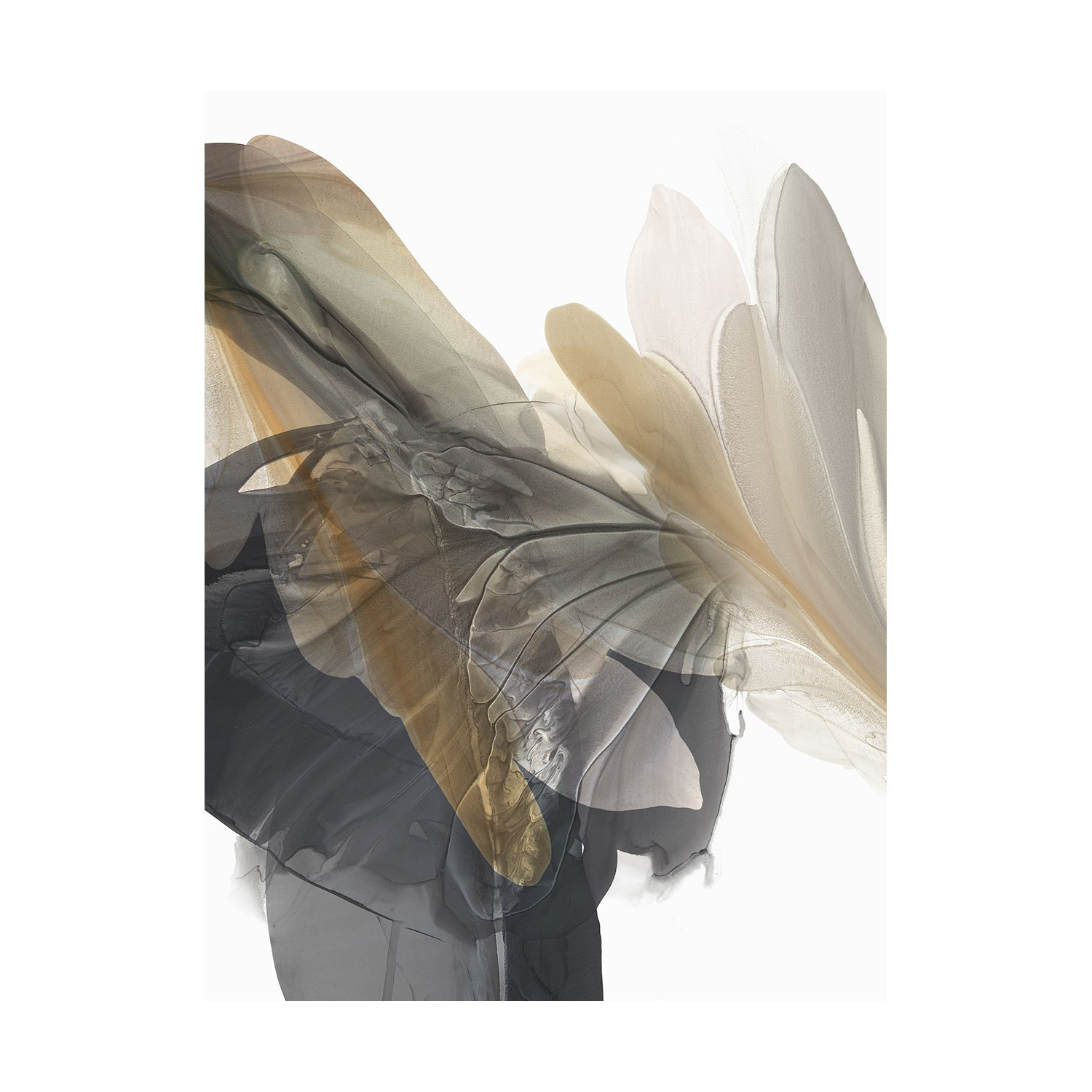 Fall from Grace I Printed Wall Art