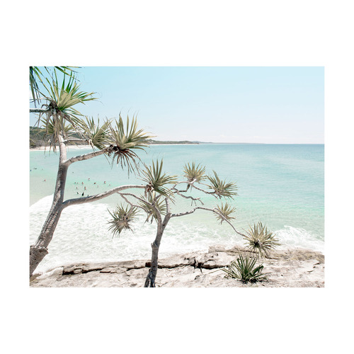 Pandanus in Paradise Printed Wall Art