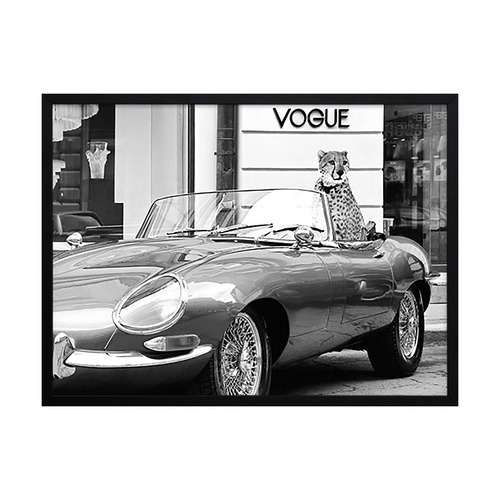 Fashion Cat Printed Wall Art
