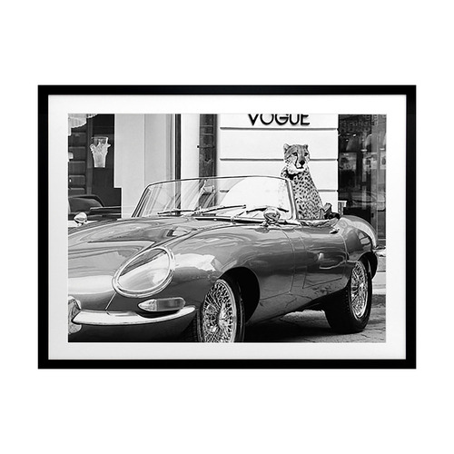 Fashion Cat Printed Wall Art