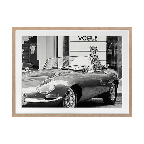 Fashion Cat Printed Wall Art