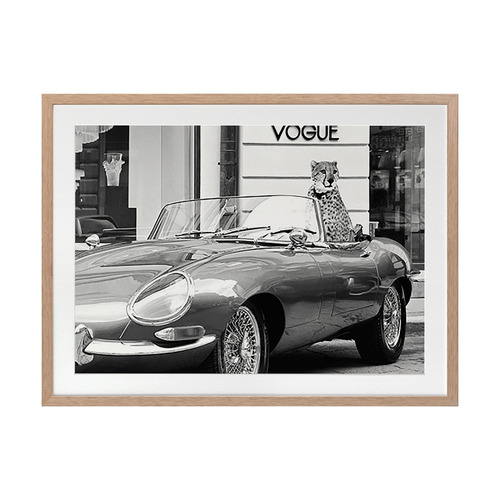 Fashion Cat Printed Wall Art
