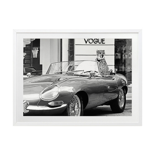 Fashion Cat Printed Wall Art