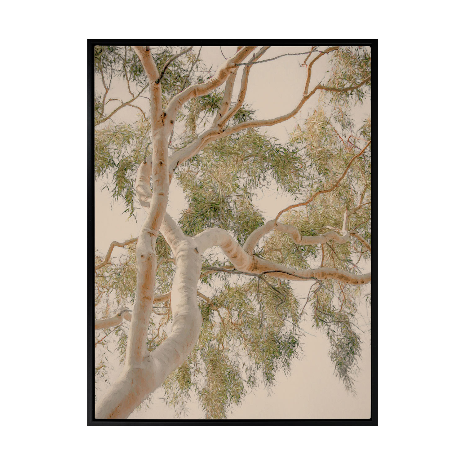 Golden Hour Gum Tree Printed Wall Art