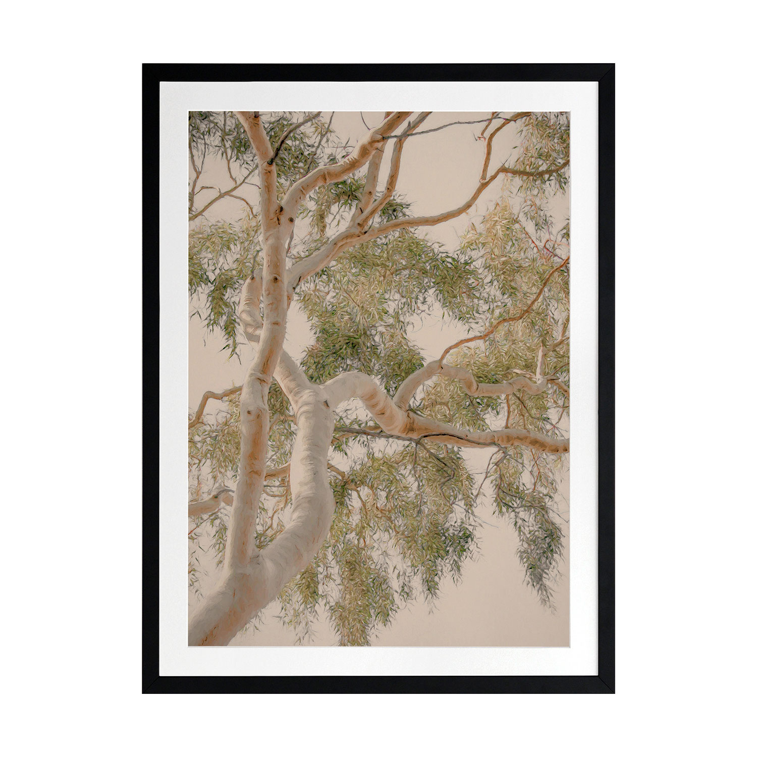 Golden Hour Gum Tree Printed Wall Art