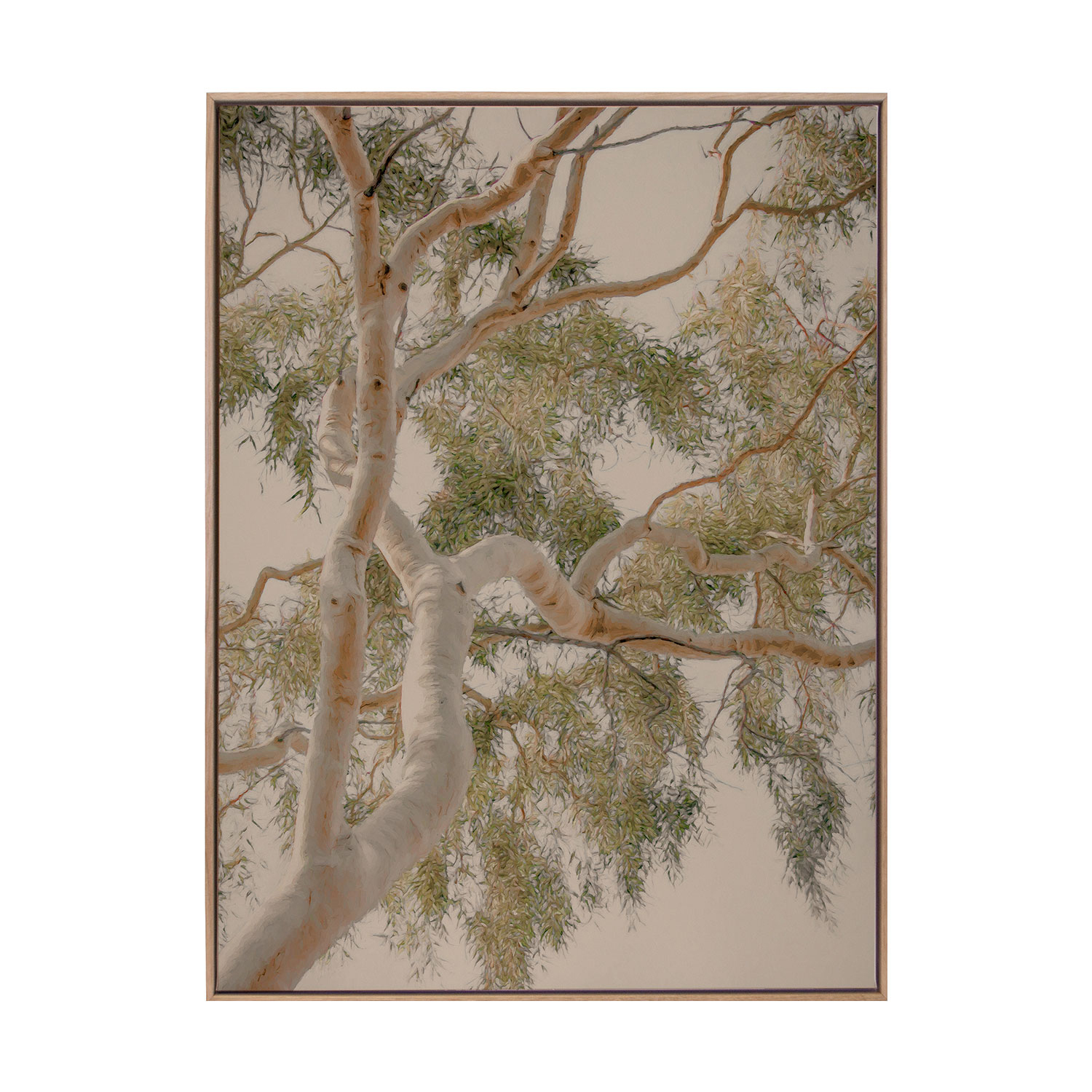 Golden Hour Gum Tree Printed Wall Art