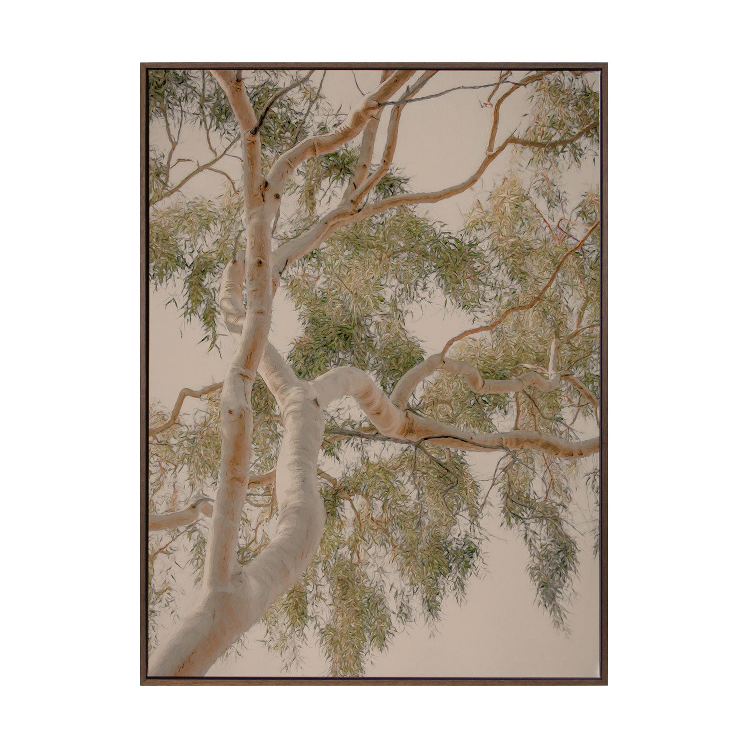 Golden Hour Gum Tree Printed Wall Art