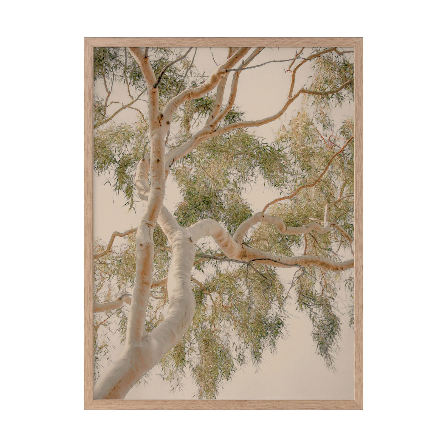 Golden Hour Gum Tree Printed Wall Art