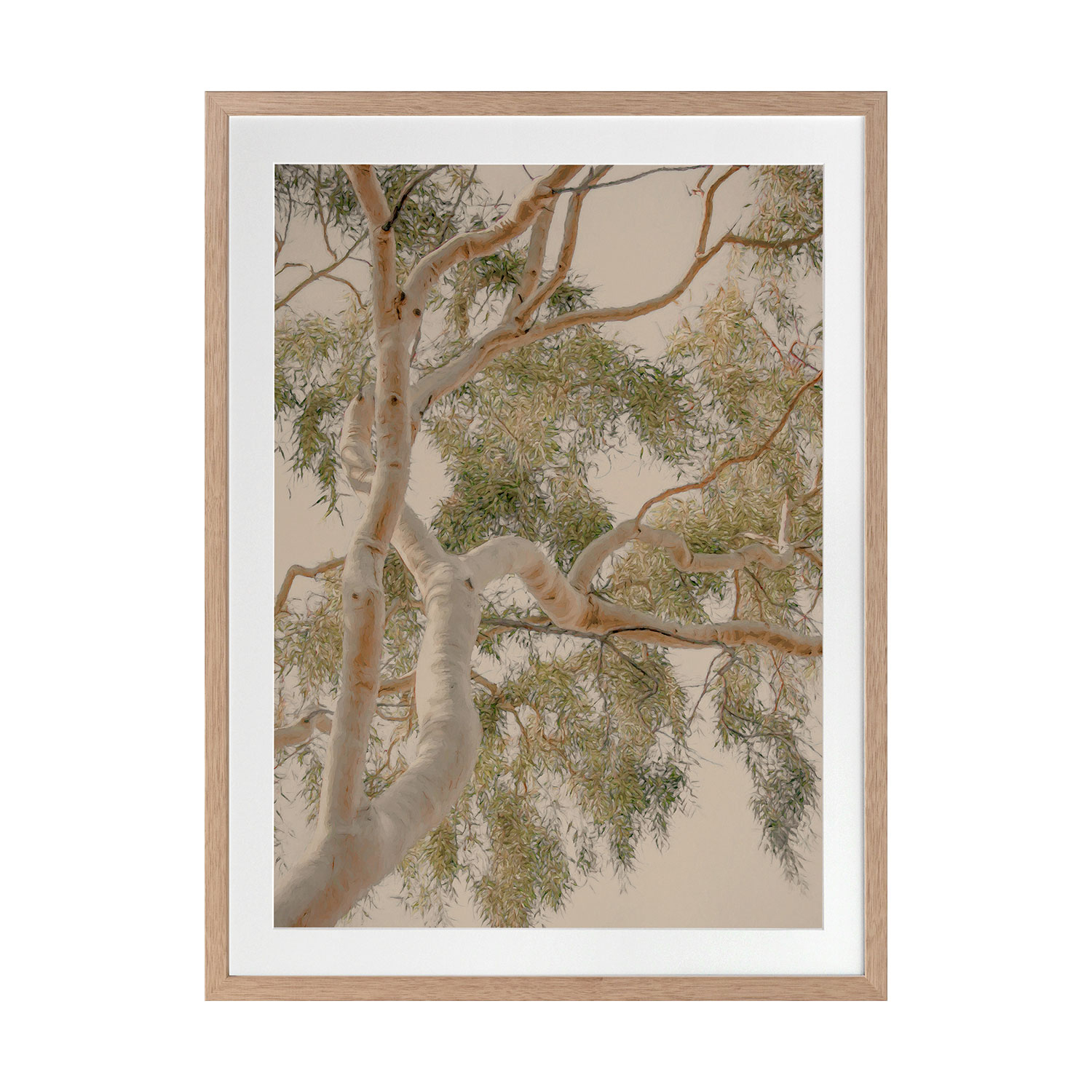 Golden Hour Gum Tree Printed Wall Art