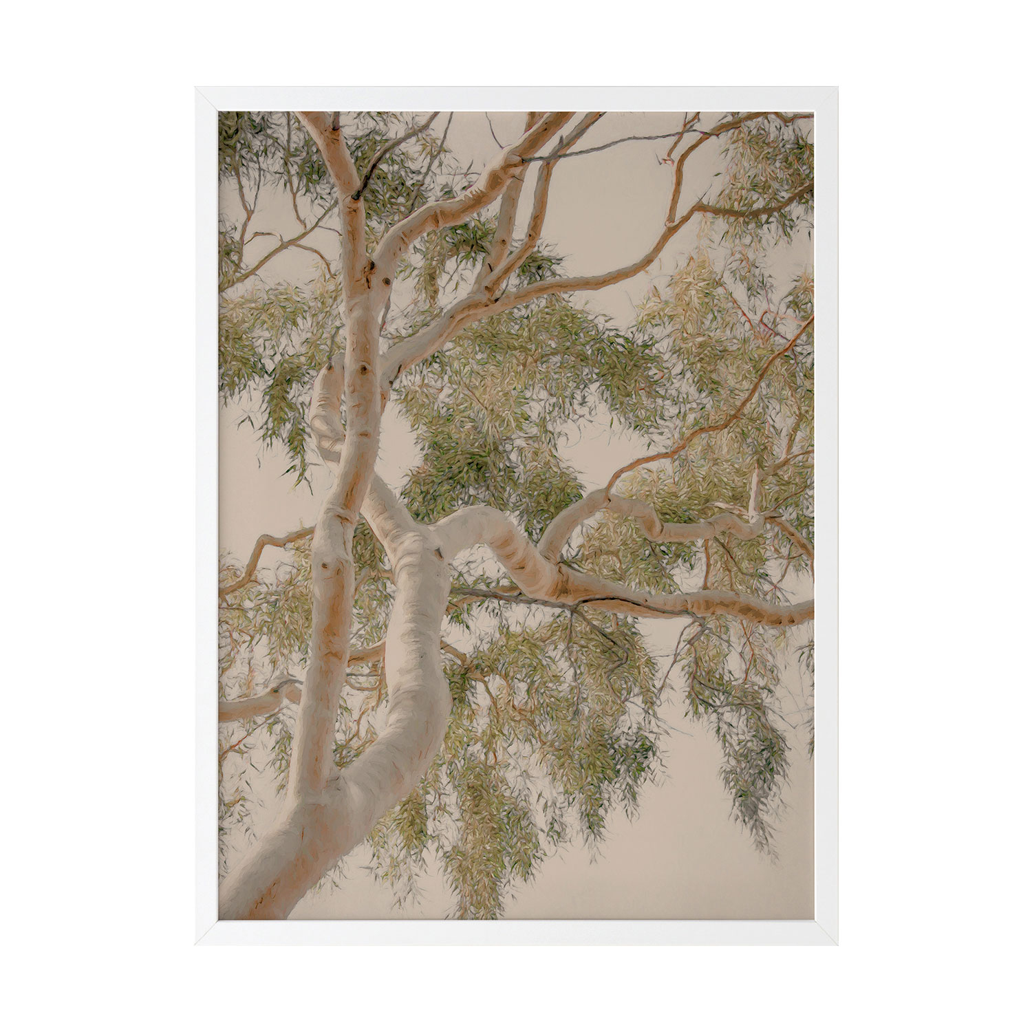 Golden Hour Gum Tree Printed Wall Art