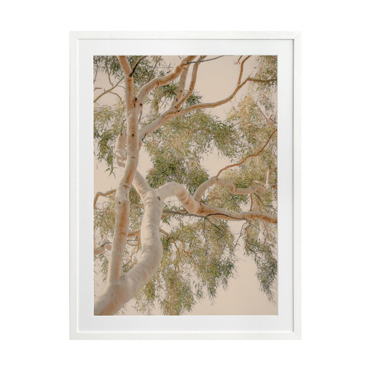 Golden Hour Gum Tree Printed Wall Art