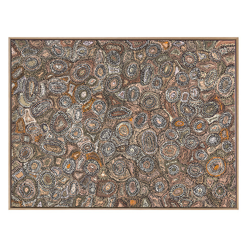 Ngapa Jukurrpa (Water Dreaming) Printed Wall Art