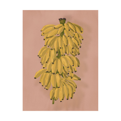 Platano II Pink Printed Wall Art