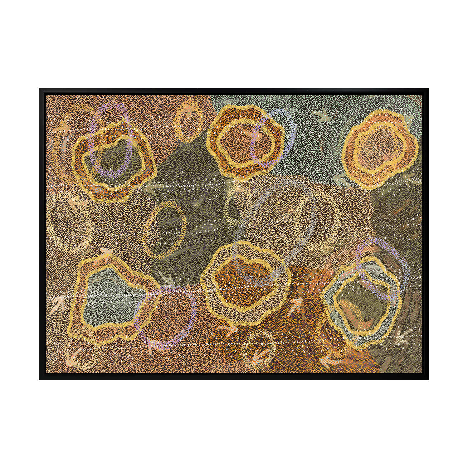 Multi-Coloured Yankirri Jukurrpa III Printed Wall Art