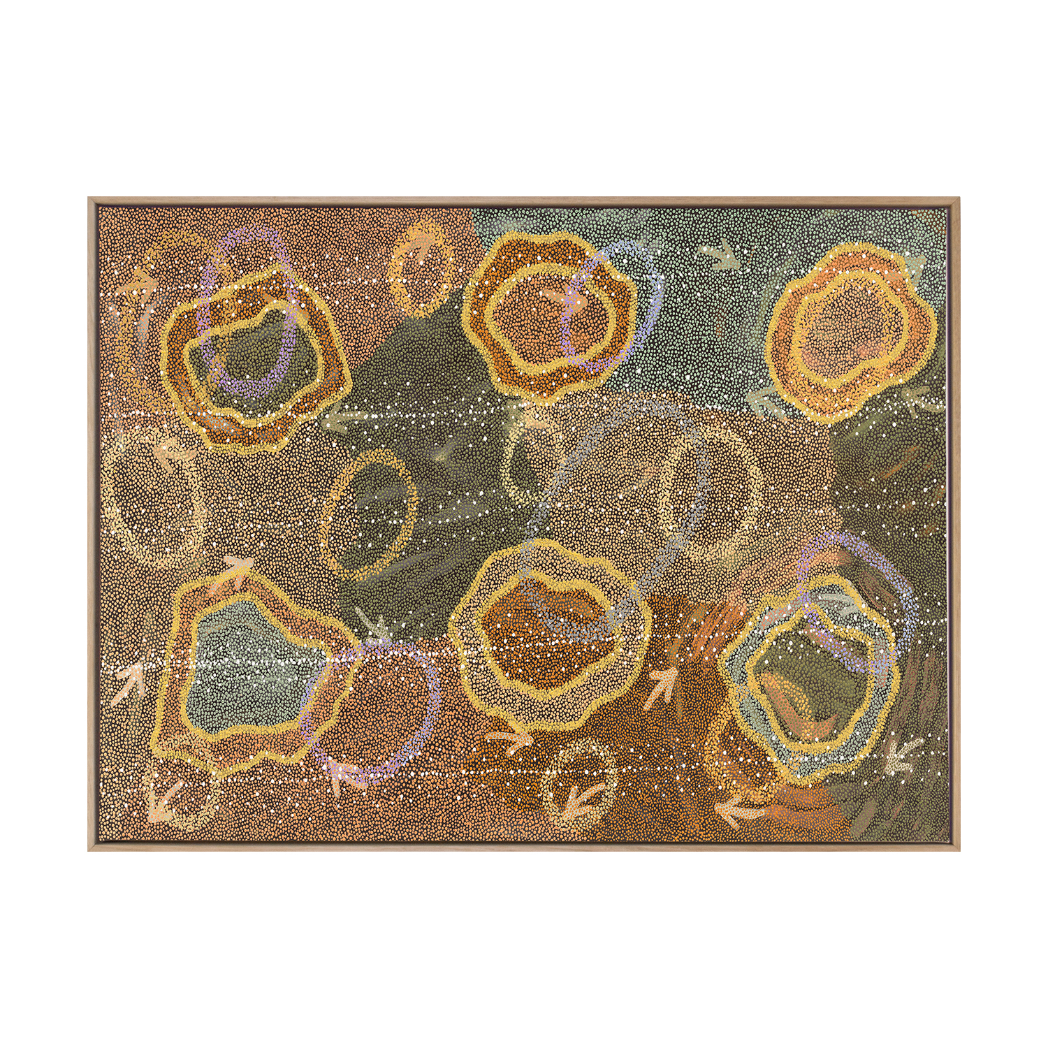 Multi-Coloured Yankirri Jukurrpa III Printed Wall Art