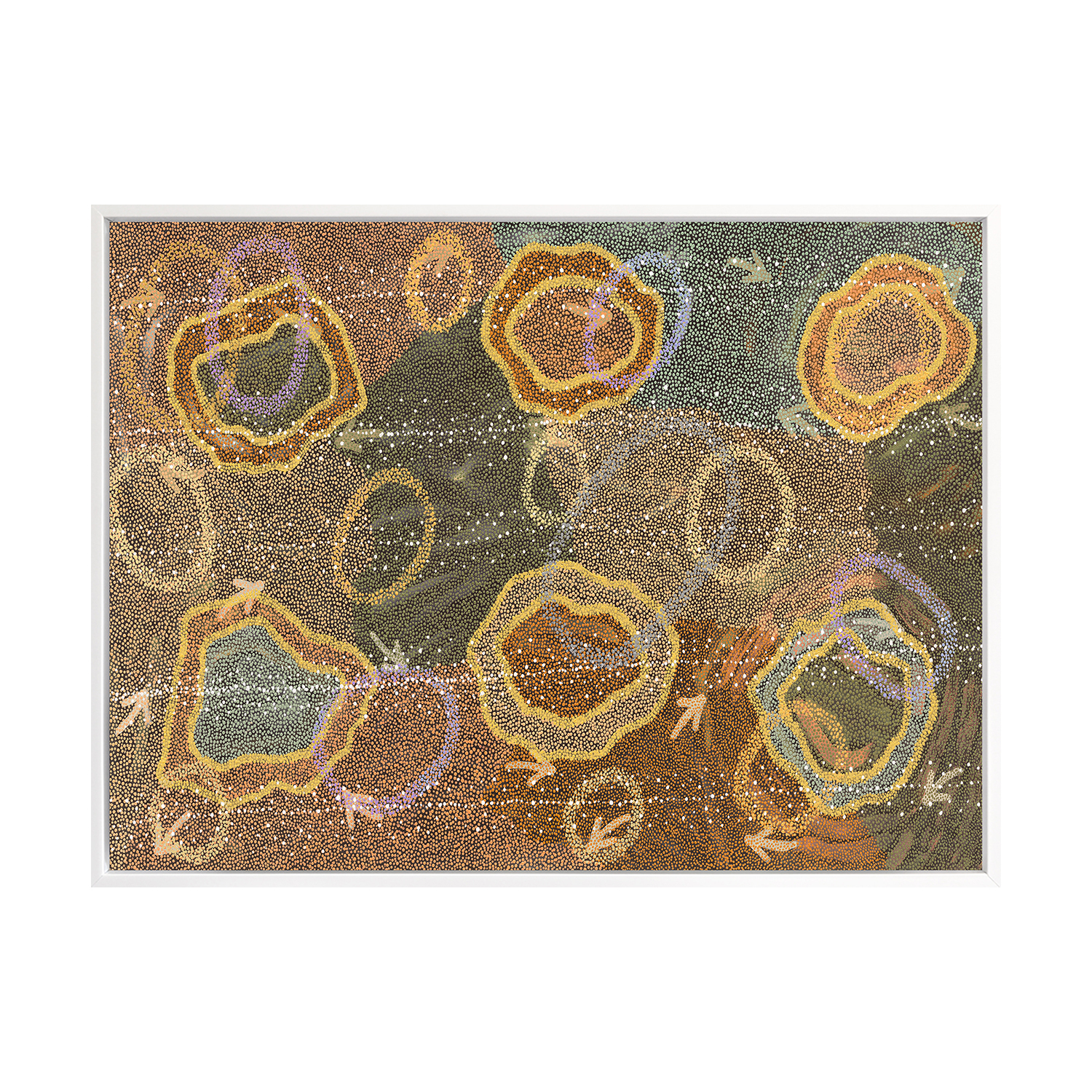 Multi-Coloured Yankirri Jukurrpa III Printed Wall Art