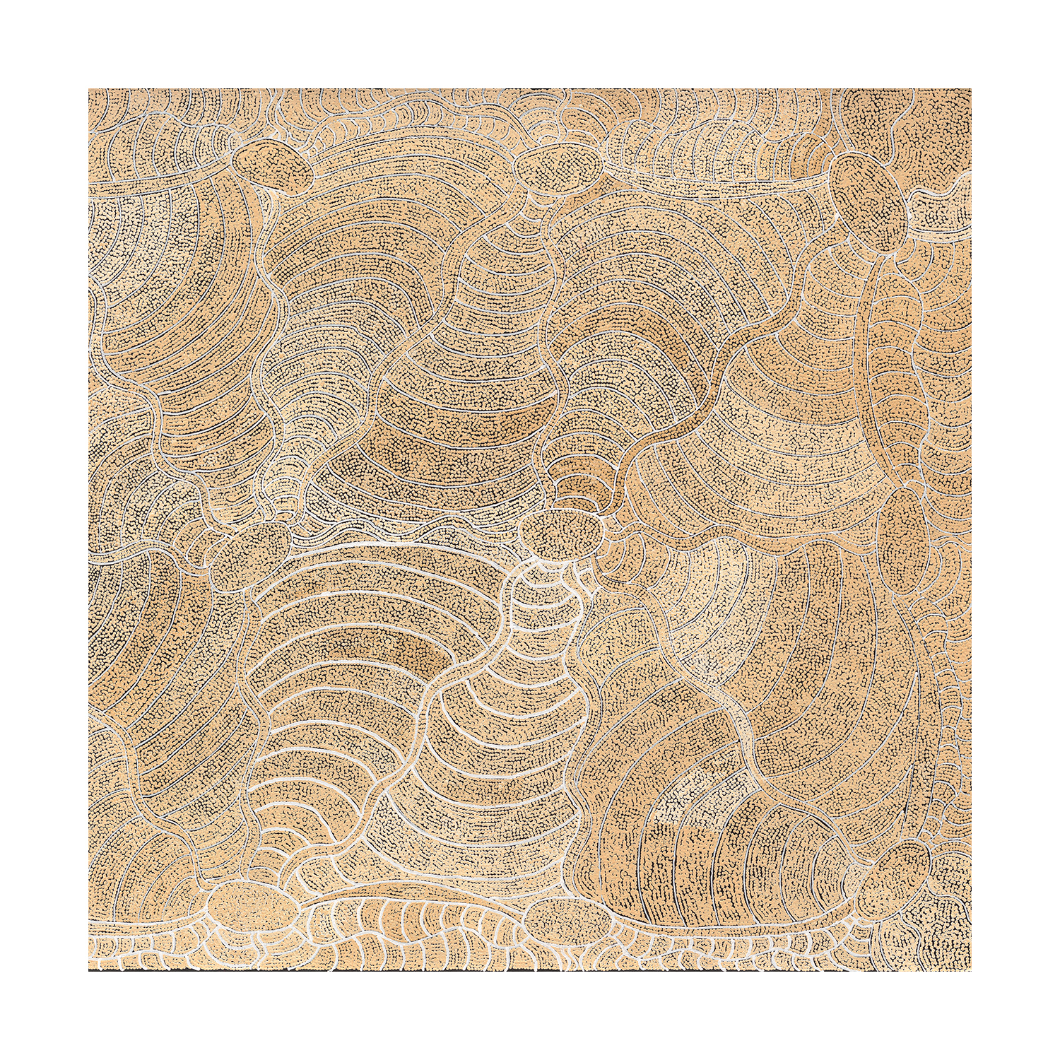 Janganpa Jukurrpa III Printed Wall Art