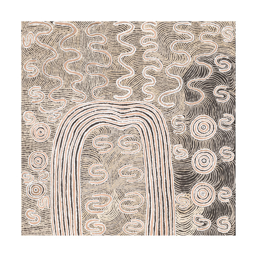 Wardapi Jukurrpa Printed Wall Art