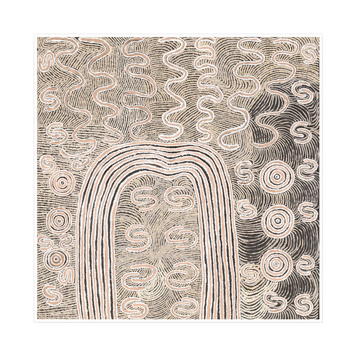 Wardapi Jukurrpa Printed Wall Art