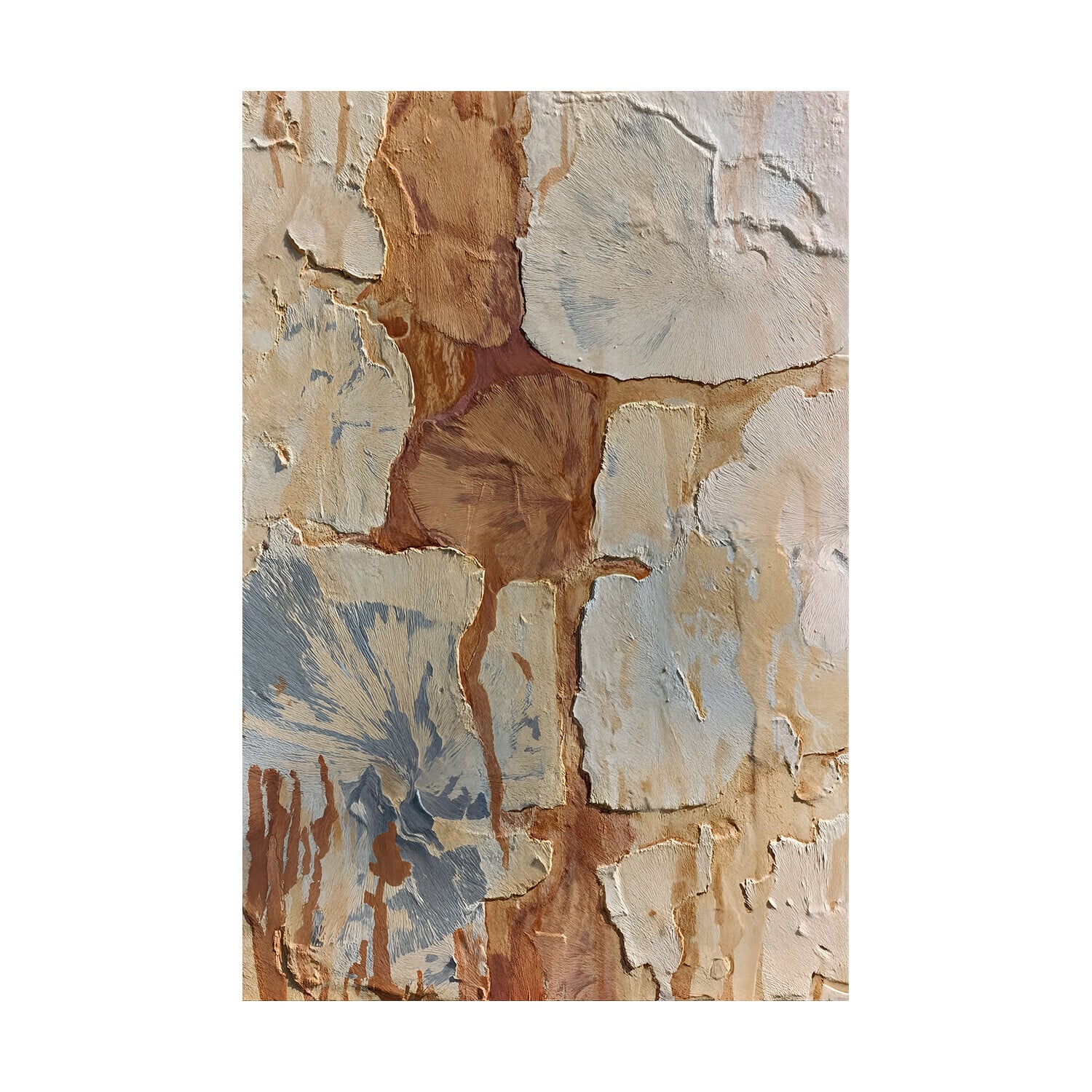 Weathered Clay II Framed Canvas Wall Art