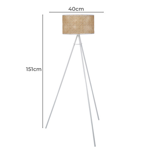 Aurelia Rattan Floor Lamp