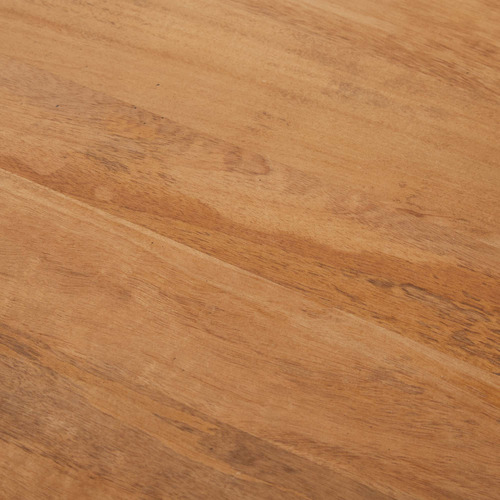 Rian Mango Wood Coffee Table