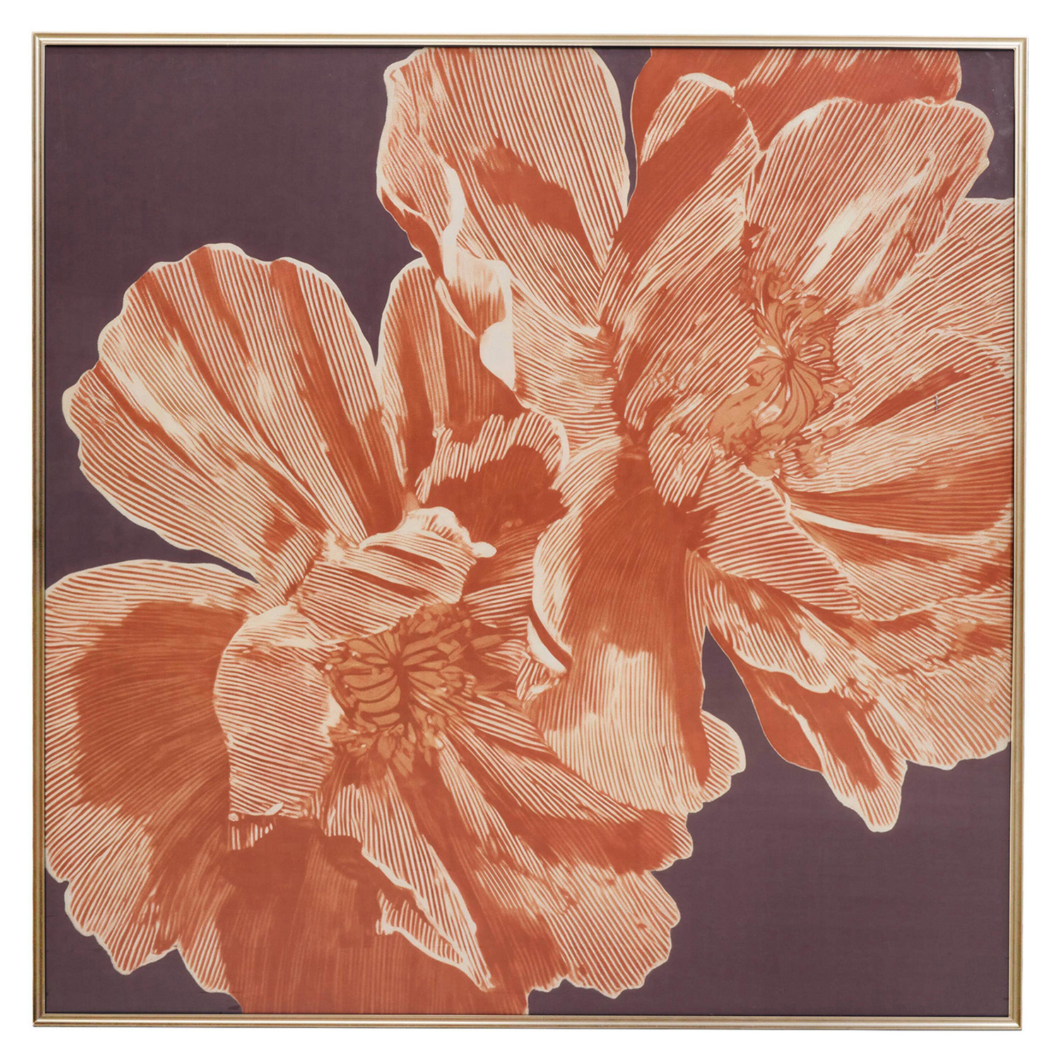 Peony Study Framed Canvas Wall Art