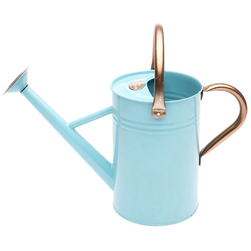 Brunnings 4.5L Terence Metal Watering Can & Reviews Temple & ster
