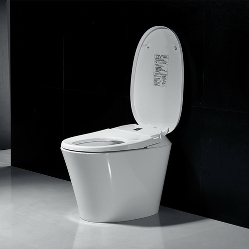 Intelligent Electric Ceramic Smart Toilet
